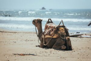 Agadir, Morocco